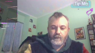 sonoboris webcam model stream image