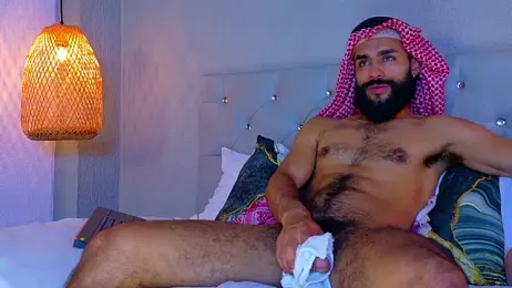 Thaiel_Fosteer webcam stripchat model stream image