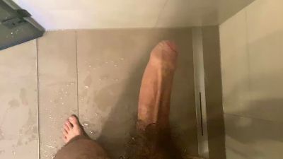 Fips19 webcam model stream image