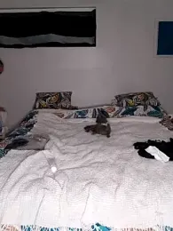 SMLove51 webcam model stream image