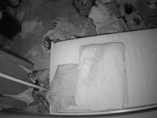 voyeurcam-julmodels-whitebed-5 webcam model stream image