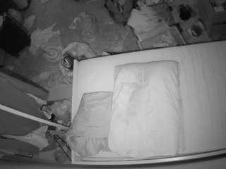 voyeurcam-julmodels-whitebed-5 webcam model stream image