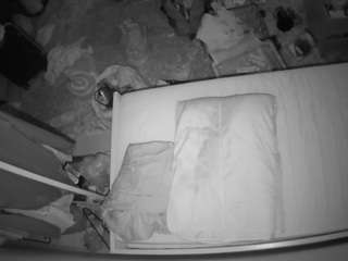 voyeurcam-julmodels-whitebed-5 webcam model stream image