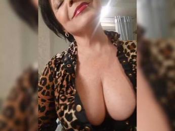 _Hertovka- webcam model stream image