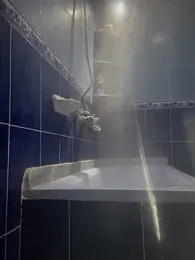 CLOUDY-Arabian_pharaon webcam model stream image