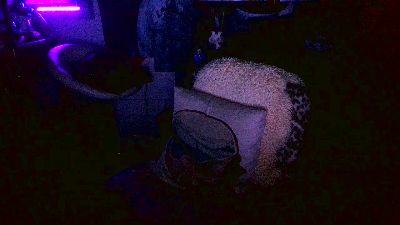 blindsurfer webcam model stream image