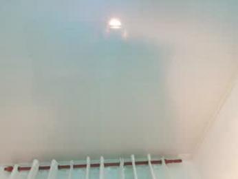 nezo_ webcam model stream image