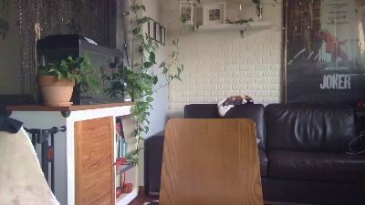 AleBMI webcam cam4 model stream image