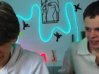 rico-steel webcam model stream image