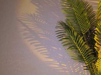 Maribett webcam model stream image