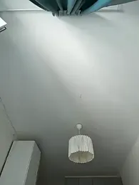 OdriOlsens webcam model stream image