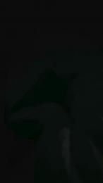 aly77_xxx webcam model stream image