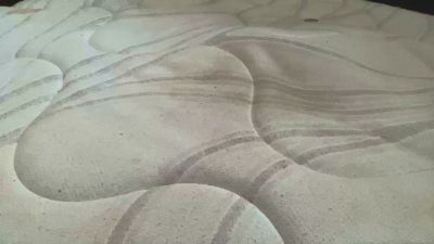 DimmyT webcam model stream image