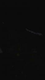 BellaSpicy webcam model stream image