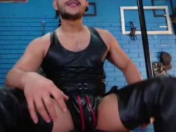 theian26 webcam model stream image
