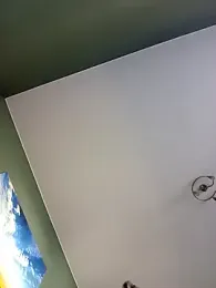 blackhotpartyts webcam model stream image