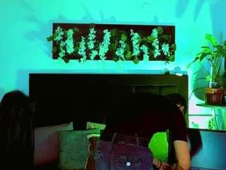 hannilest webcam model stream image