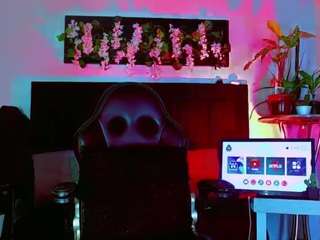 hannilest webcam model stream image