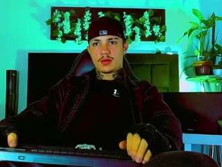 hannilest webcam model stream image