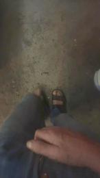 wolfi80 webcam model stream image