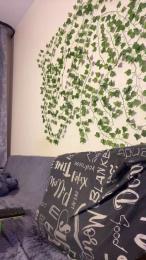 bravo_maestro webcam model stream image