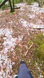 Legtiste webcam model stream image