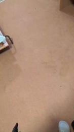 Xxjoeyy webcam model stream image