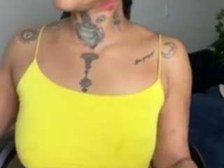 iambaldheadbrittany webcam model stream image