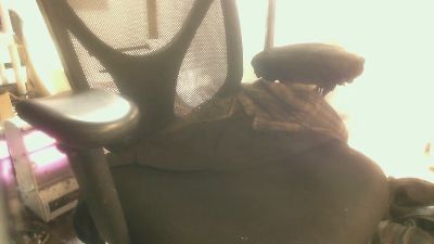 Foole600 webcam model stream image