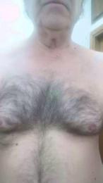 fenicottero1 webcam cam4 model stream image