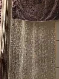 pachapeter webcam model stream image