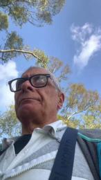 4n4l1zz4m1 webcam cam4 model stream image