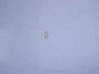 sexx_hunters webcam model stream image