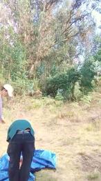 _noahdiaz webcam model stream image