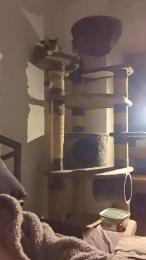 Robinio6969 webcam model stream image