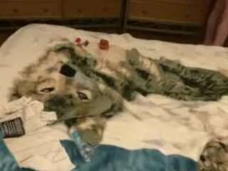 wetwillyman webcam camsoda model stream image