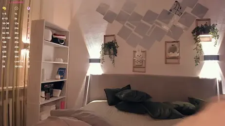 EvaSolisv webcam model stream image