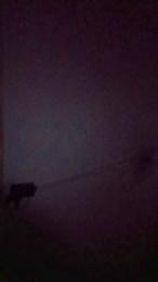 Lonely4u2b webcam model stream image