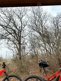 petrouchkaaa_ webcam model stream image