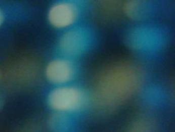 Zlaya_Mama webcam model stream image
