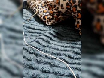 GumaLis13 webcam model stream image