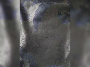 Ice_Ice_Baby webcam model stream image