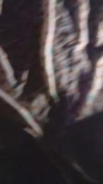 vale860 webcam model stream image