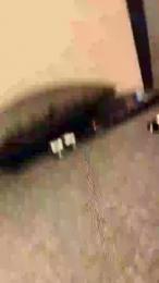 Girltroia webcam model stream image