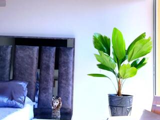 Dion Seans webcam model stream image