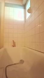 Chatonadorable webcam model stream image