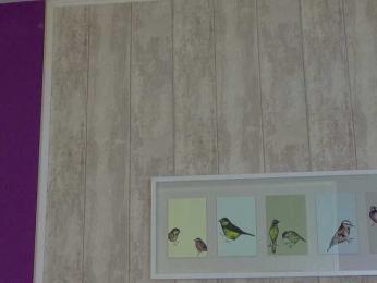 XKimoraX webcam model stream image