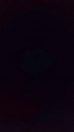 Daniela7145 webcam model stream image