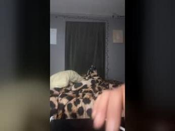 girlswatch9 webcam chaturbate model stream image