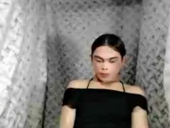 hoelyaurora webcam model stream image